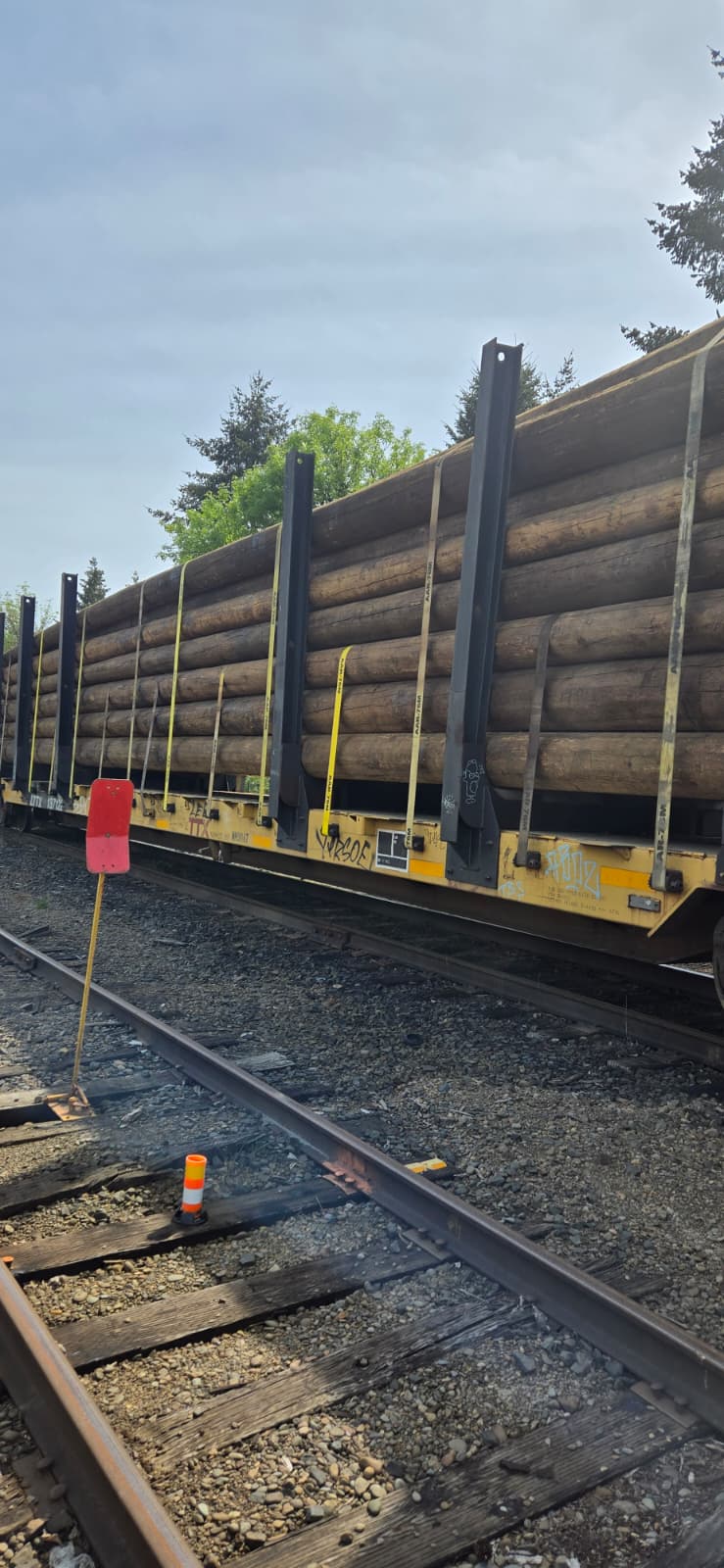 AAR webbing on platform railcar